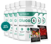 Gluco6 – Advanced Blood Sugar Support Supplement