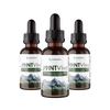 JointVive | Joint Health & Mobility Support Supplement