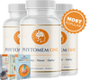 PhytoMEM One | Memory & Cognitive Support Supplement